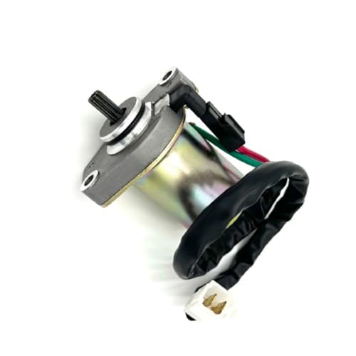 Für Zuma 50 YW50 2002-2011 Motorrad-Anlasser 4WX-H1800-00-00 4WX-H1800-01-00 410-54163 Spule Für Zuma 50 YW50 2002-2011 Motorrad-Anlasser 4WX-H1800-00-00 4WX-H1800-01-00 410-54163 Spule von SSFGHRHQ