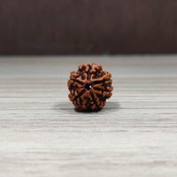 Sechs Mukhi Rudraksha, Natürliche Und Zertifizierte Nepali 100% Original Wirksame Gebetsperlen, Gesichter Rudraksha Sechs Mukhi Rudraksha, Natürliche Und Zertifizierte Nepali 100% Original Wirksame Gebetsperlen, Gesichter Rudraksha von SSGJewelryCo