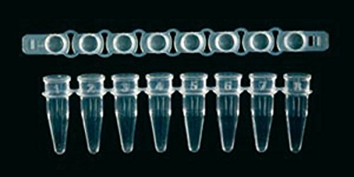 S.S.I. 840552 Abdeckkappe für PCR Microtube Ultraflux Malve 8 Stück von SSI