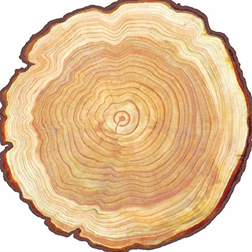 Jahresringteppich Aus Holzmaserung Natur In Dein Wohnzimmer/Baumstamm/Baumscheibe/Rund/Naturteppich/Waldteppich Baumstamm Rund/Teppich In Baumoptik/Rustika von SSLW