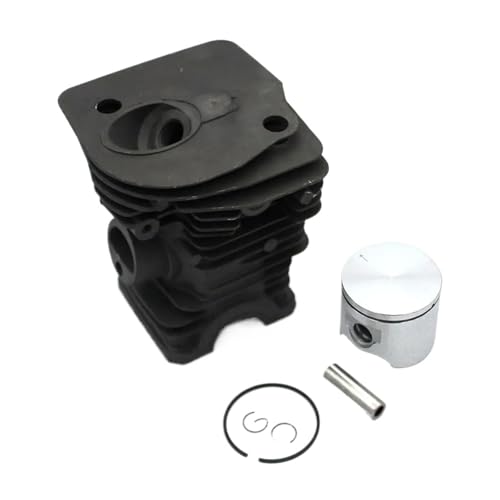 SSNAWBA 40-mm-Zylinderkolbensatz, kompatibel mit Jonsered-Kettensäge 2141 CS2141 503870005 503870073 503870076 SSNAWBA 40-mm-Zylinderkolbensatz, kompatibel mit Jonsered-Kettensäge 2141 CS2141 503870005 503870073 503870076 von SSNAWBA