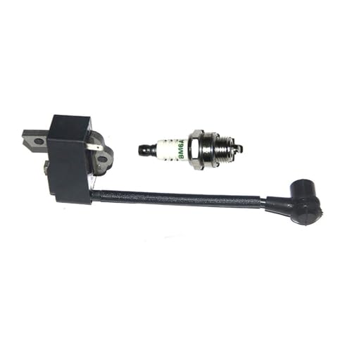 SSNAWBA Zündspulenmodul kompatibel mit Echo CS-370 CS-370F CS-400 CF-400F CS-420ES Shindaiwa 402S Kettensäge A411000264 SSNAWBA Zündspulenmodul kompatibel mit Echo CS-370 CS-370F CS-400 CF-400F CS-420ES Shindaiwa 402S Kettensäge A411000264 von SSNAWBA