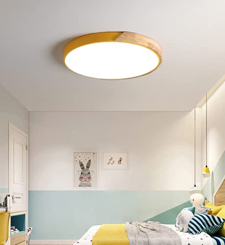 SSNCcNC Gelb, LED Modern Deckenleuchte Rund 3000K Schlafzimmer Gang-Deckenlampe Acryl Lampenschirm 18W Veranda Korridore Eingang Kronleuchter Balkone Flur Badezimmer Küche D30*H5CM von SSNCcNC