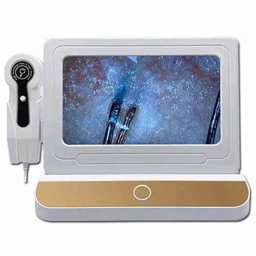 SSQUZA Hautdiagnose Haaranalysegerät, Professionelles Hautanalysegerät, 11-Zoll-HD-LCD-Bildschirm 50X/200X Professionelles Hautanalysegerät Digitaler Haarfollikel-Kopfhautdetektor,Gold SSQUZA Hautdiagnose Haaranalysegerät, Professionelles Hautanalysegerät, 11-Zoll-HD-LCD-Bildschirm 50X/200X Professionelles Hautanalysegerät Digitaler Haarfollikel-Kopfhautdetektor,Gold von SSQUZA