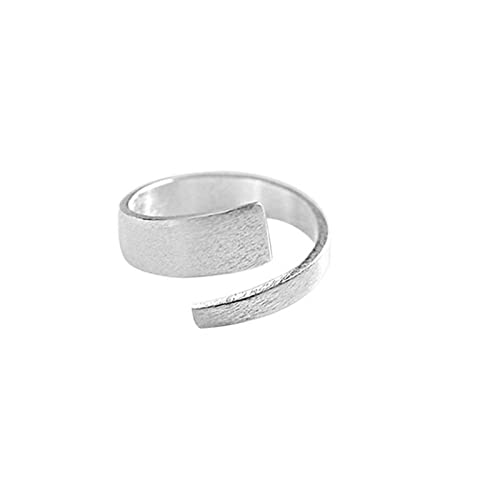 S925 Silber Boutique Schmuck kreativer gebürsteter einfacher Ring Damen Trendiger Ring Geschenk von STANG