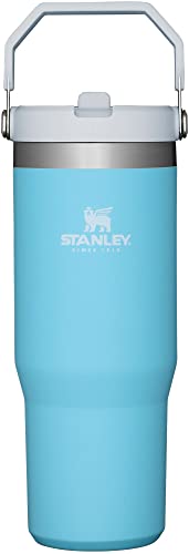STANLEY Classic The IceFlow™ Edelstahl Trinkbecher mit Strohhalm, 850 ml von STANLEY