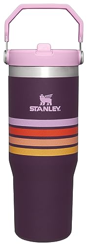 STANLEY IceFlow™ Trinkhalm-Becher, 850 ml, Varsity-Kollektion, Pflaumenmuster von STANLEY