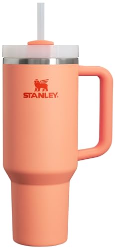 Stanley Quencher H2.O FlowState™ Trinkglas, 1,2 l, Nektarine von STANLEY