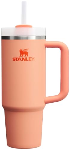 Stanley Quencher H2.O FlowState™ Becher, 852 ml, Nebel (Mist) von STANLEY