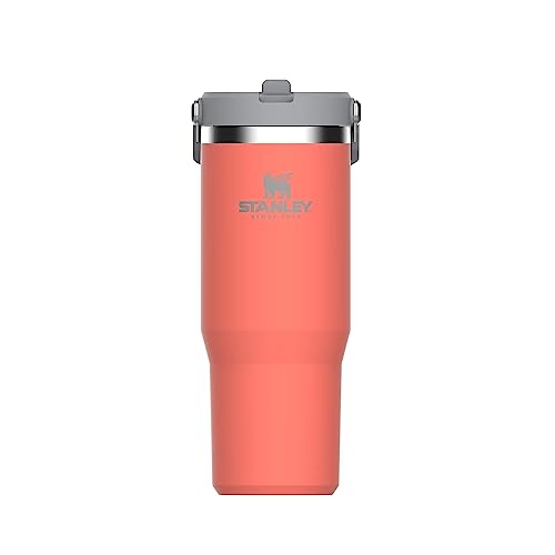 Stanley The IceFlow Flip Strohhalm Becher aus hochwertigem 18/8-Edelstahl, Farbe: Guava, Fassungsvermögen: 0.89l, Größe: Ø9 x 24,5 cm, 675801 von STANLEY