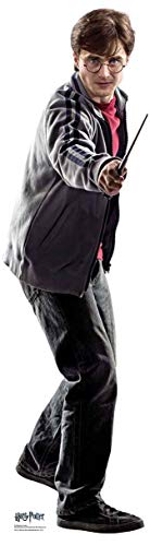 Harry Potter Gryffindor Emblem aus den Offiziellen Büchern, Pappe, Harry Mini, 92 x 25 x 92 cm von STAR CUTOUTS