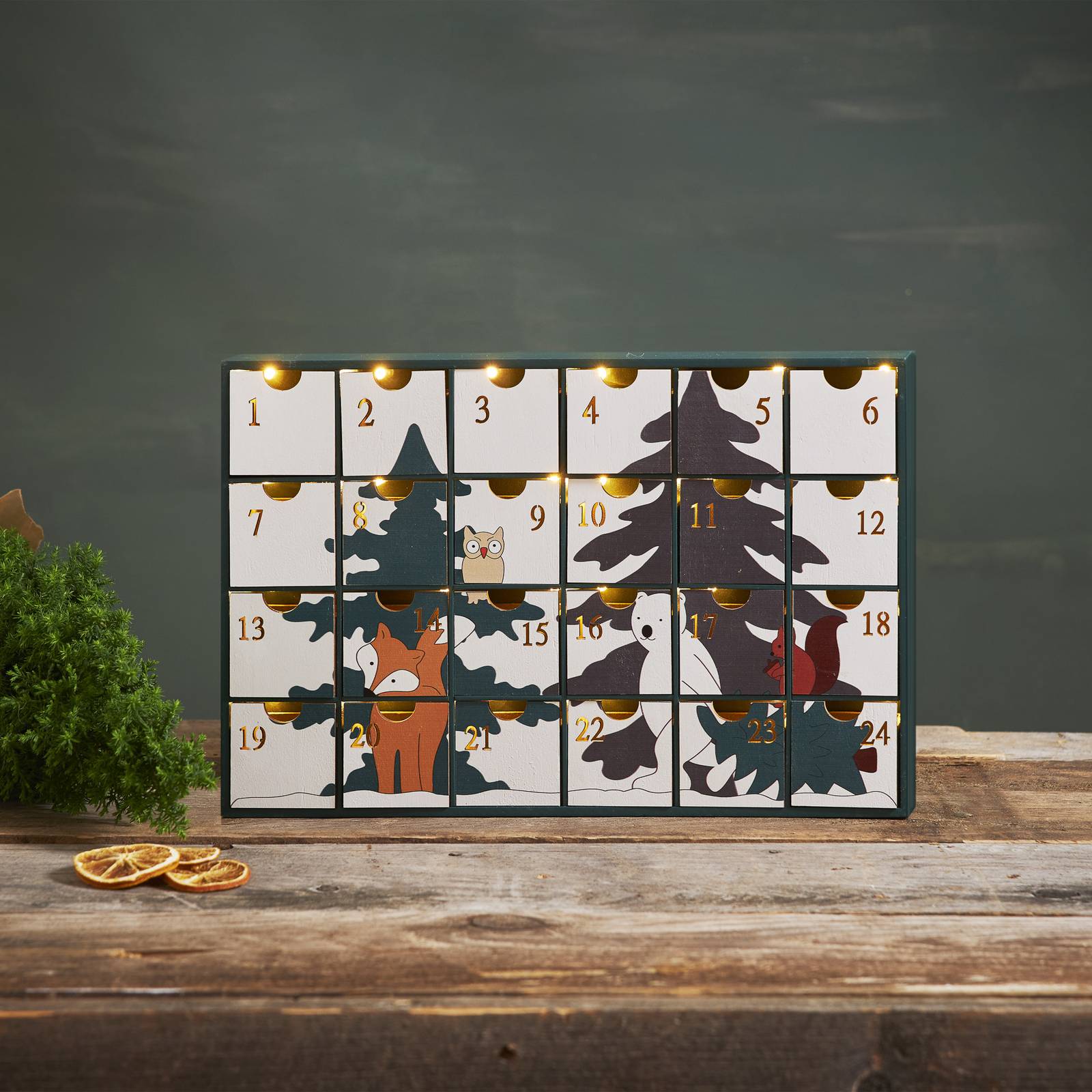 LED-Adventskalender Forest Friends von STAR TRADING