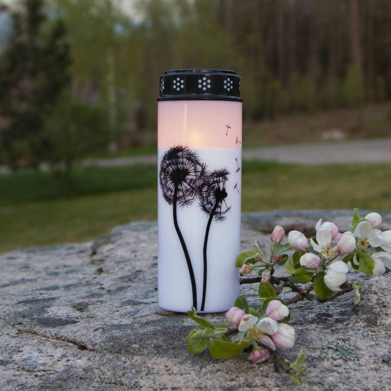 LED-Grablicht Dandelion, 21 cm weiß/schwarz Plastik Batterie von STAR TRADING