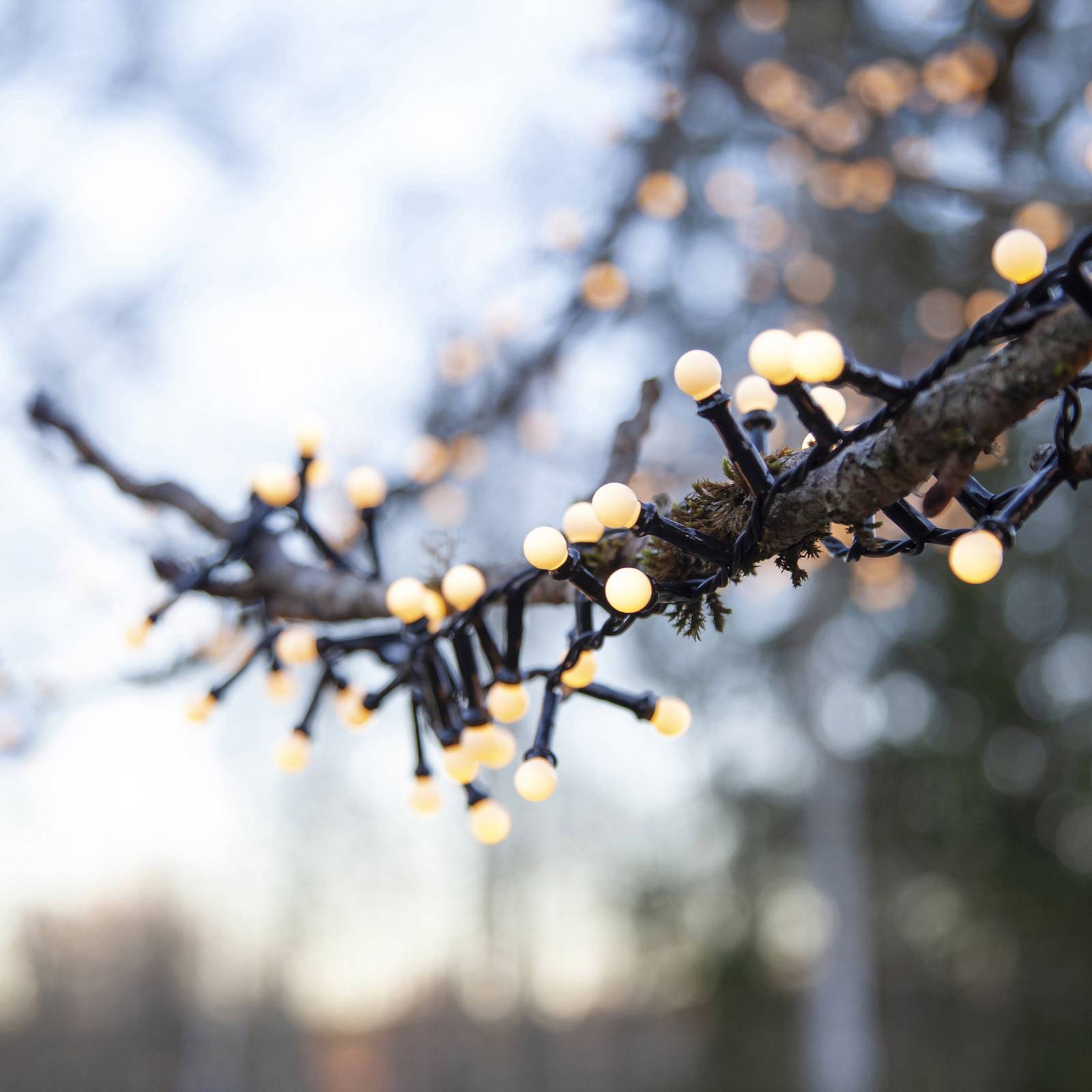 LED-Lichterkette Berry Mini mit Timerfunktion weiß von STAR TRADING