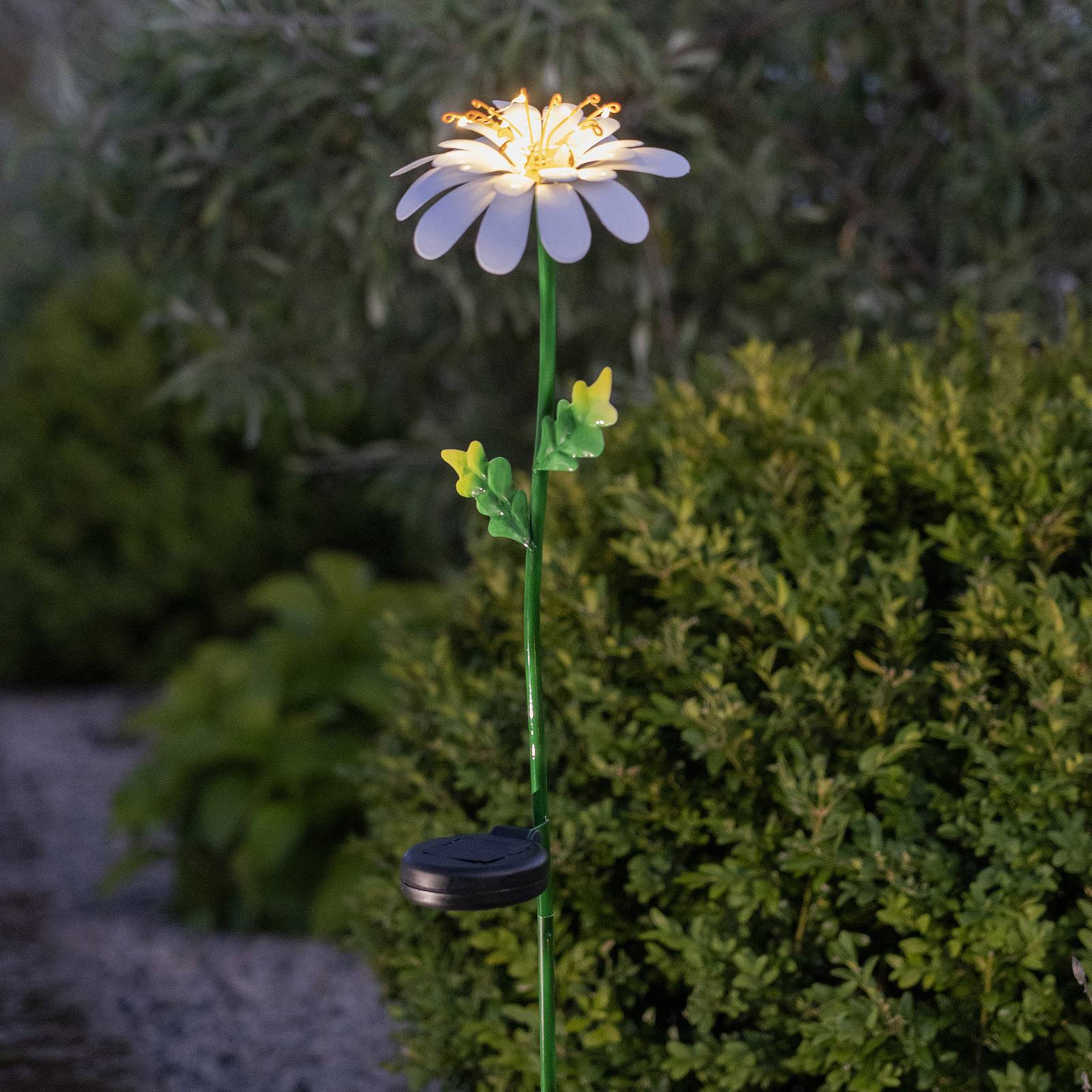 LED-Solarleuchte Daisy in Gänseblümchenform von STAR TRADING