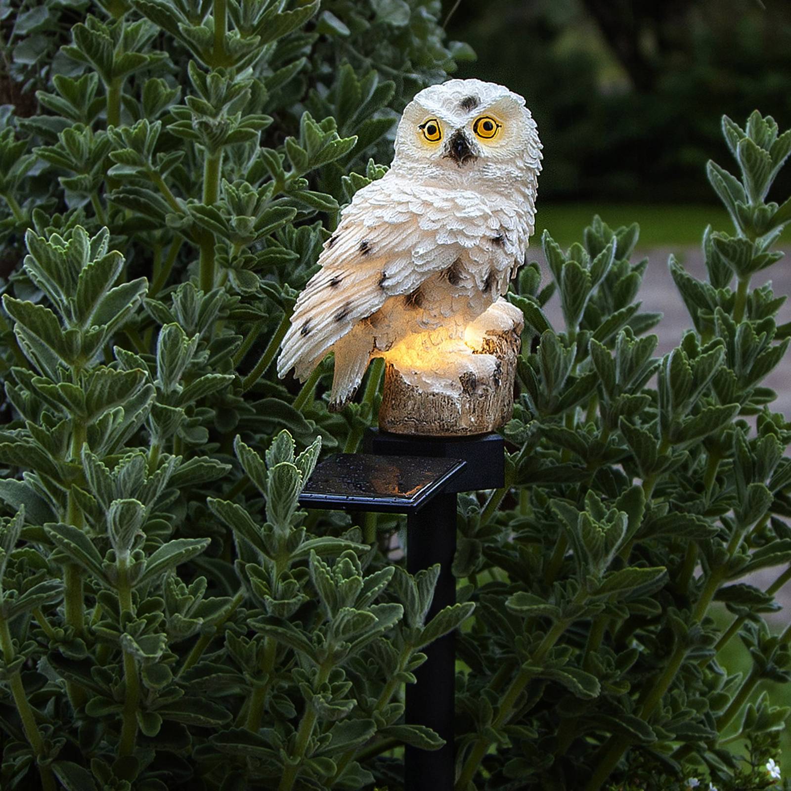 LED-Solarleuchte Owl mit Erdspieß von STAR TRADING