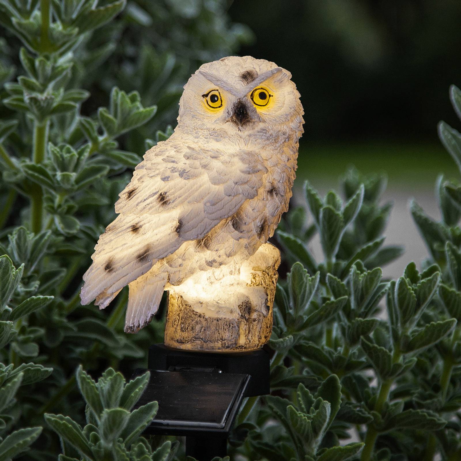 LED-Solarleuchte Owl mit Erdspieß von STAR TRADING