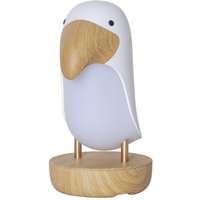 Led Nachtlicht Toucan Bird, Tukan-Leuchte, Dimmbar, usb, Warmweiß, 20 cm - Star Trading Led Nachtlicht Toucan Bird, Tukan-Leuchte, Dimmbar, usb, Warmweiß, 20 cm - Star Trading von STAR TRADING