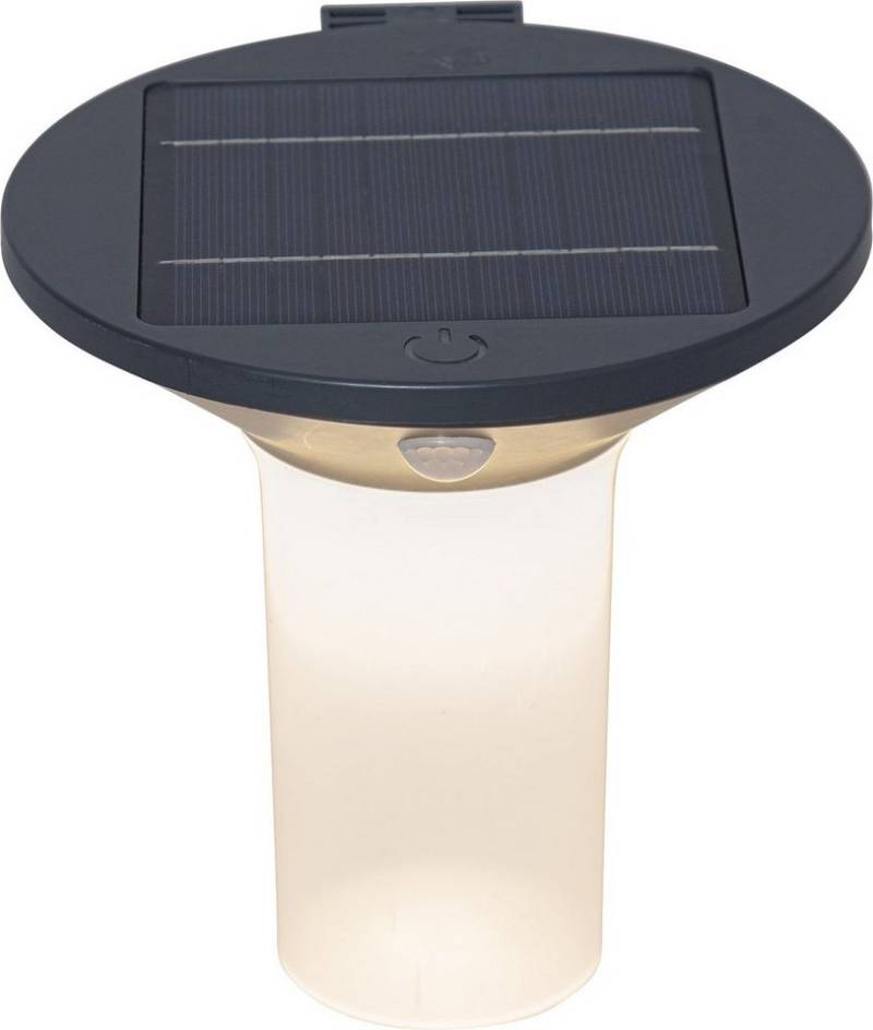 STAR TRADING Außen-Wandleuchte LED-Solar-Wandleuchte"Valta" mit Bewegungssensor von STAR TRADING