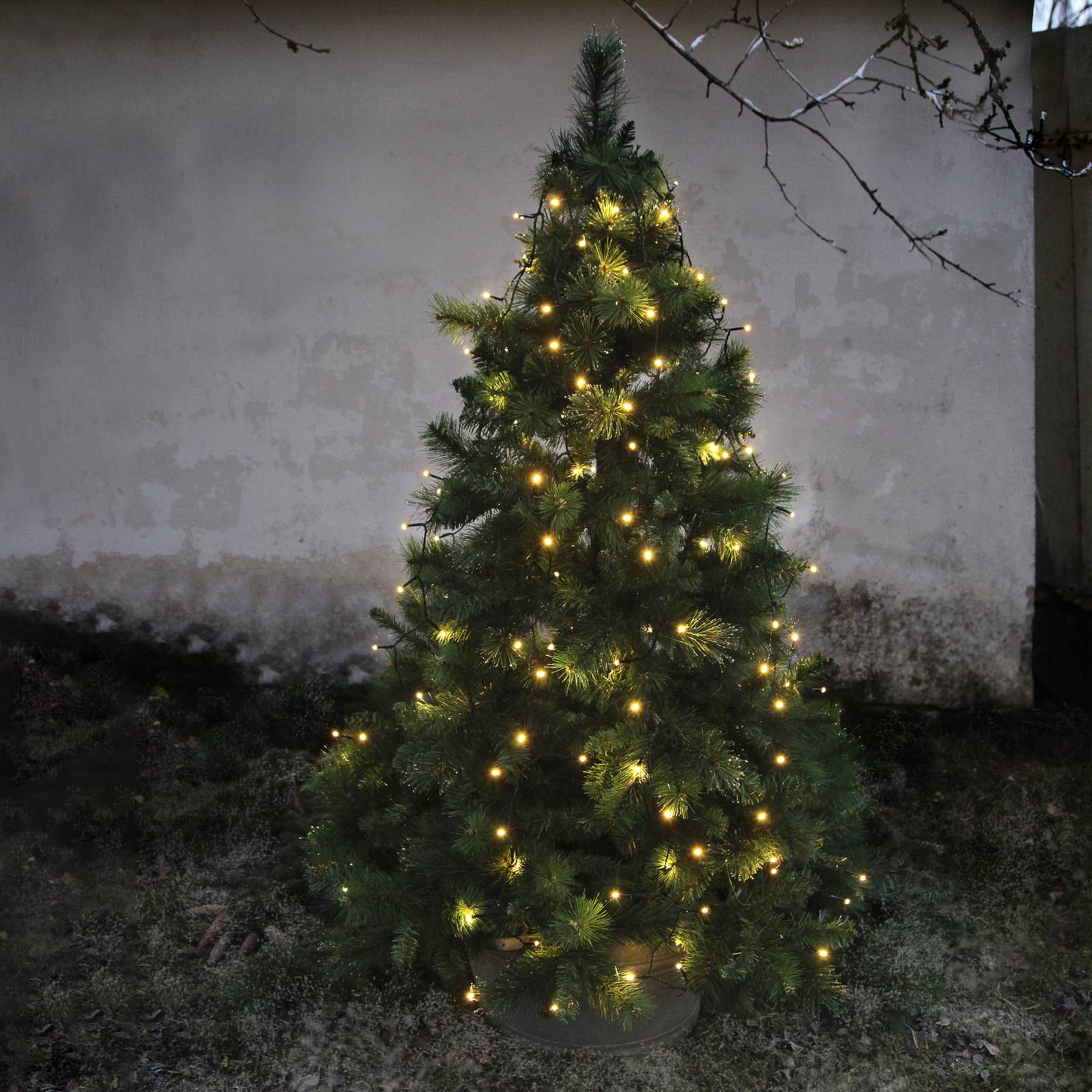 Baumvorhang Treelight LED m. 8 Strängen von STAR TRADING