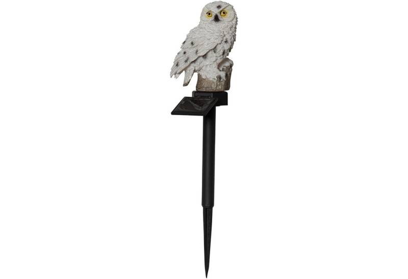 STAR TRADING LED Solarleuchte Owl, Solar Wegeleuchte Owl von STAR TRADING