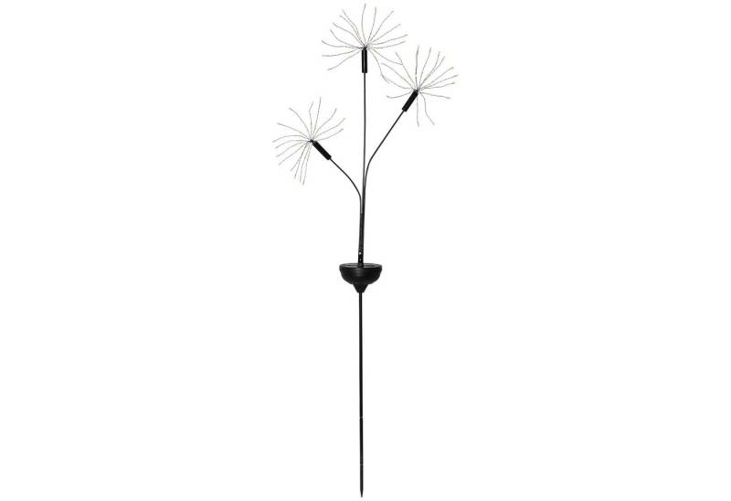STAR TRADING LED Solarleuchte, Solar-Erdspieß Firework, dreifacher Ausläufer STAR TRADING LED Solarleuchte, Solar-Erdspieß Firework, dreifacher Ausläufer von STAR TRADING