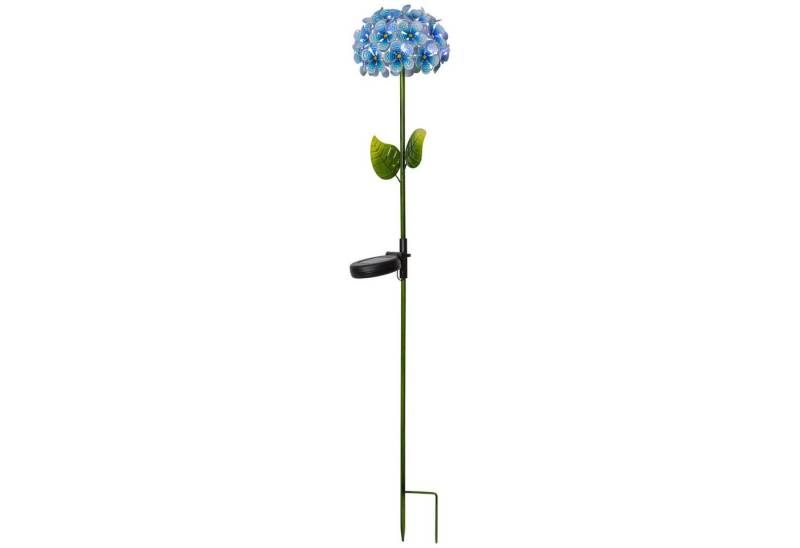 STAR TRADING LED Solarleuchte Hortensia, Solar-Erdspieß Hortensia, blau STAR TRADING LED Solarleuchte Hortensia, Solar-Erdspieß Hortensia, blau von STAR TRADING