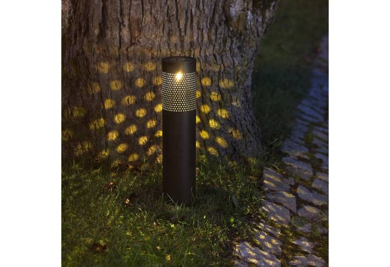 STAR TRADING LED Gartenleuchte LED-Solar-Wegleuchte "Blace", Edelstahl, schwarz von STAR TRADING
