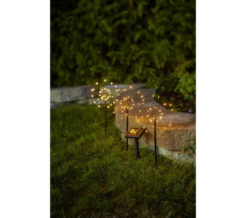 STAR TRADING LED Solarleuchte LED-Solarstäbe"Firework", 3 Stäbe, schwarz von STAR TRADING
