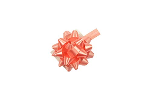 STAR 10 Geschenkschleifen Rosetten 4cm Apricot von Star