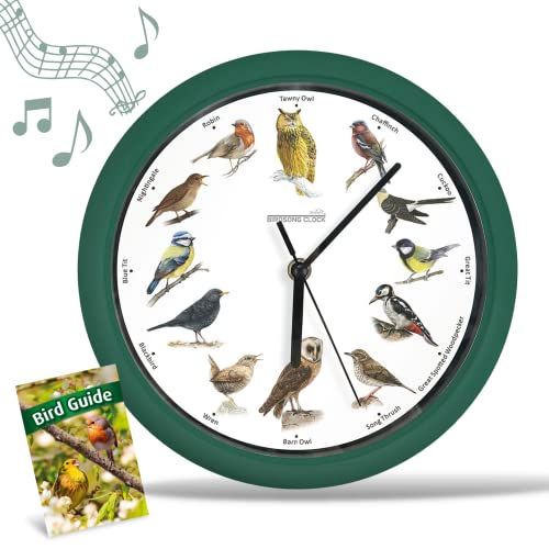 Wanduhr mit Vogelstimmen STARLYF Birdsong Clock, Wanduhr mit echten Klängen von 12 verschiedenen Vögeln, Stummschaltplan in der Nacht, 25x25cm,Natürlicher Charme für Dein Zuhause von STARLYF