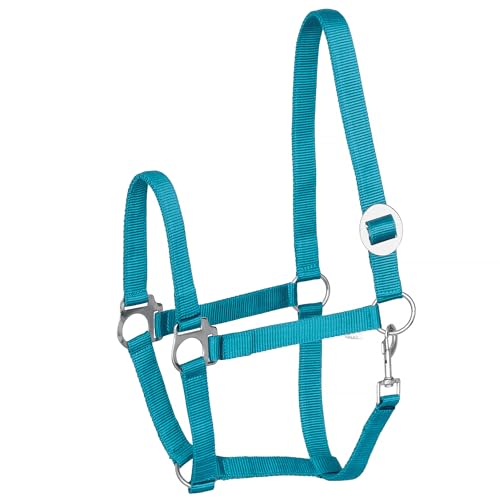 Start Economic Halfter für Pferde – Verstellbares Nylon-Stallhalfter mit Karabiner – Robust & Komfortabel – Weiches, schmutzabweisendes Material (Türkis, Full (Warmblut)) von START ENJOY THE RIDE