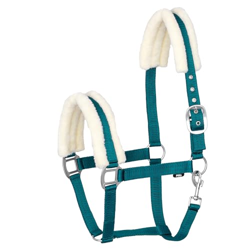 Start Gepolstertes Nylon-Stallhalfter für Pferde mit weichem Kunstfell - Verstellbar & Komfortabel - Karabinerverschluss - Strapazierfähig & Elegant - MinkPadded (Türkis, Pony) von START ENJOY THE RIDE