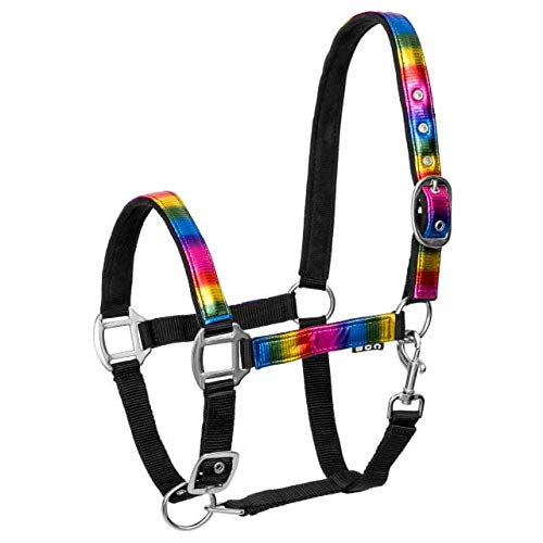 Start RainbowCloth gefüttertes Halfter für Pferde | Verstellbares Halfter im Regenbogenmuster | Eine Million Farben erhältlich in Pony Vollblut Warmblut (Cob (Vollblut), Mehrfarbig) von START ENJOY THE RIDE