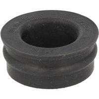 Sickennippel für HT-Muffenanschluss dn 50 x dn 32 Sickennippel für HT-Muffenanschluss dn 50 x dn 32 von STEDO