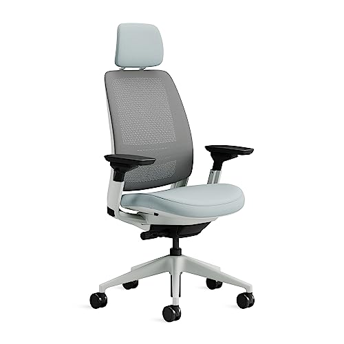Steelcase Series 2 Ergonomischer Bürostuhl mit LiveBack Lumbalstütze, 4D-Armlehnen, anpassbarer Kopfstütze Sturmhorizont, 72 x 64 x 127 von Steelcase