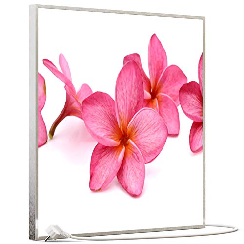 STEINFELD Bild Infrarotheizung mit Thermostat | Made in Germany | viele Motive 350-1200 Watt Rahmen silber (350W, 053 Pink Frangipani) von STEINFELD Heizsysteme