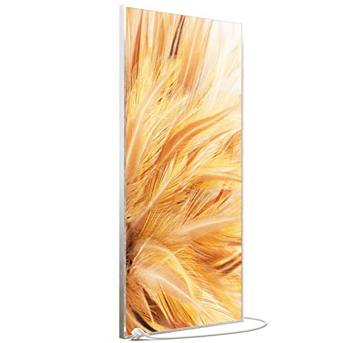 STEINFELD Bild Infrarotheizung mit Thermostat | Made in Germany | viele Motive 350-1200 Watt Rahmen silber (750W, 028h Federn) von STEINFELD Heizsysteme