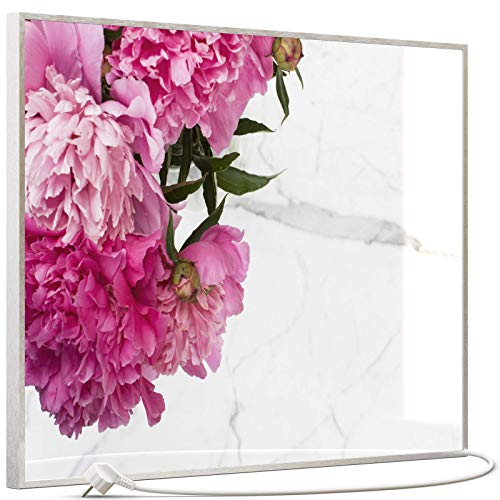 STEINFELD Heizsysteme® Glas Bild Infrarotheizung mit Thermostat | Made in Germany | viele Motive 350-1200 Watt Rahmen silber/alu (500 Watt, 013 Pfingstrose) von STEINFELD Heizsysteme