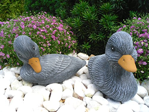 STEINFIGUREN SPICKER Steinfigur Ente 2er Set 118/1, 119/1, Gartenfigur Steinguss Tierfigur Basaltgrau STEINFIGUREN SPICKER Steinfigur Ente 2er Set 118/1, 119/1, Gartenfigur Steinguss Tierfigur Basaltgrau von STEINFIGUREN SPICKER