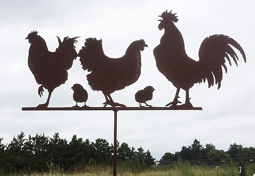 Hühner auf der Stange 67x32cm Geflügel Huhn Hahn Küken Gartenstecker Edelrost Gartendeko Rost Metall Rostfigur von Steinfigurenwelt Hühner auf der Stange 67x32cm Geflügel Huhn Hahn Küken Gartenstecker Edelrost Gartendeko Rost Metall Rostfigur von Steinfigurenwelt von STEINFIGURENWELT GIEBEN