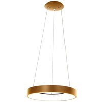 Steinhauer - led Pendelleuchte Ringlede in Gold und Weiß 40W 3600lm - yellow von STEINHAUER