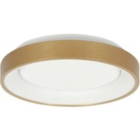 Steinhauer - deckenleuchte - Ringlede - gold - kunststoff - ø von STEINHAUER