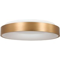 Steinhauer - deckenleuchte - Ringlede - gold - kunststoff metall von STEINHAUER