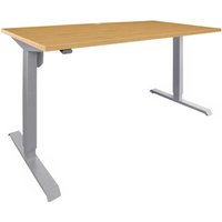 STIER Elektrisch höhenverstellbarer Schreibtisch 501-33, Tischgestell mit Tischplatte 120x80 cm, Buche mel., Ergonomischer Steh-Sitz-Tisch stufenlos von STIER