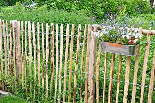 STILTREU Staketenzäune Staketenzaun Kastanie Höhen 50 cm - 200 cm, 5 Meter Rolle, 3 versch. Lattenabstände (Länge x Höhe: 500 x 100 cm, Lattenabstand: 6-8 cm) von STILTREU Staketenzäune