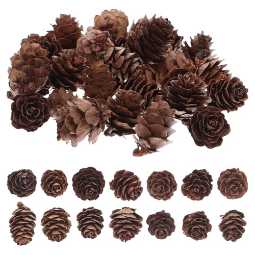 STOBAZA 100 Stück Tannenzapfen Dekorationen: Natürliche Bulk Rustikale Tannenzapfen Ornamente für Tisch Weihnachtsbaum DIY Handwerk Thanksgiving Xmas Home Decor - 2. 00x1 50 cm STOBAZA 100 Stück Tannenzapfen Dekorationen: Natürliche Bulk Rustikale Tannenzapfen Ornamente für Tisch Weihnachtsbaum DIY Handwerk Thanksgiving Xmas Home Decor - 2. 00x1 50 cm von STOBAZA