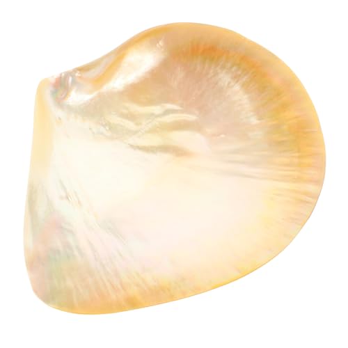 STOBAZA Dessertteller Muschelform aus Servierplatte für Snacks Obst Süßigkeiten Mikrowellen und Spülmaschinengeeignet Dekoratives Serviertablett für Zuhause STOBAZA Dessertteller Muschelform aus Servierplatte für Snacks Obst Süßigkeiten Mikrowellen und Spülmaschinengeeignet Dekoratives Serviertablett für Zuhause von STOBAZA