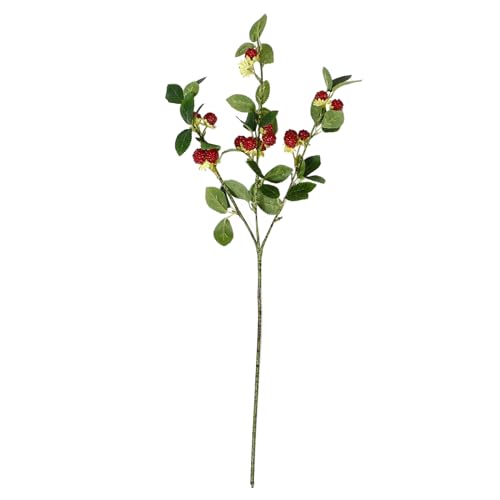 STOBAZA Künstlicher Himbeerzweig mit Leuchtend Roten Dekorative Fake Raspberry Stämme für Arrangements DIY Projekte und Innendekoration STOBAZA Künstlicher Himbeerzweig mit Leuchtend Roten Dekorative Fake Raspberry Stämme für Arrangements DIY Projekte und Innendekoration von STOBAZA