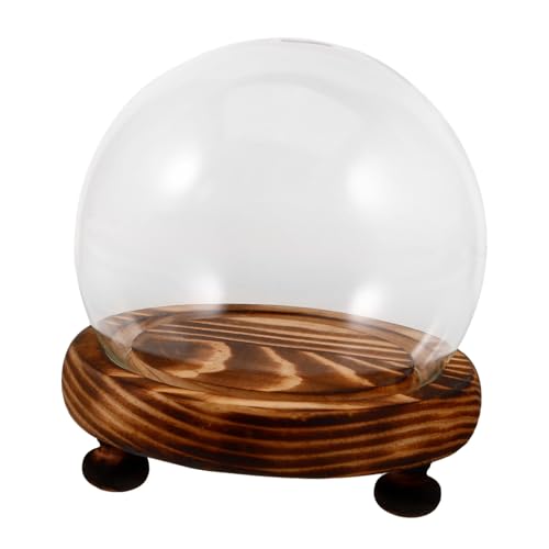 STOBAZA Transparente Glasglocke mit Holzboden Schützende Glasglocke zur Staubabwehr Dekorative Glasabdeckung für Konservierte Blumen und Pflanzen Elegantes Display für Zuhause und Büro von STOBAZA